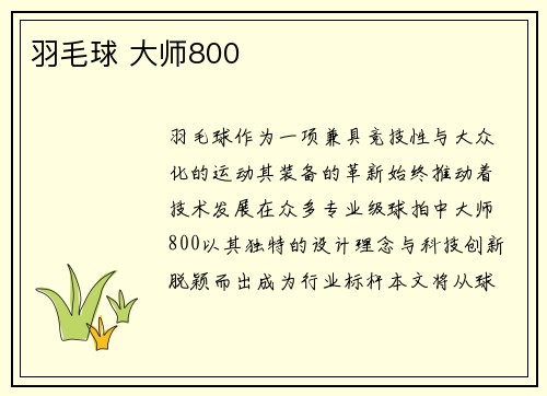 羽毛球 大师800